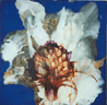 Spore I (Blue), 2001