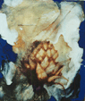 Blue Artichoke, 2001