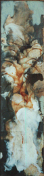 Flower Fire, 2002