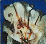 Spur, 2001