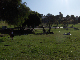 DoloresParkMovie029